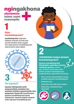 This image for Image Layouts addon